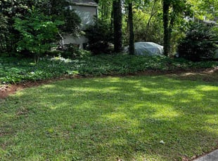 Jacquie C.'s turf maintenance service result
