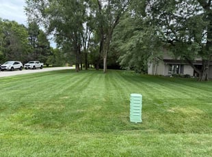 Winston B.'s lawn service service result