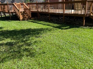 Will B.'s grass maintenance service result