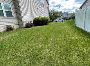 Melissa B.'s grass maintenance service result