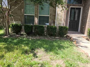 Gabrielle C.'s Bush Trimming service result