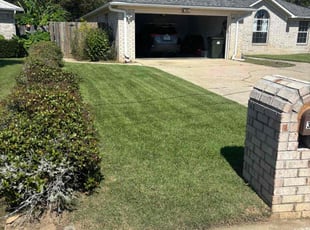 Jaber M.'s lawn service service result