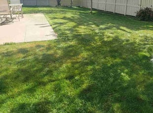 Kristin S.'s grass cutting service result