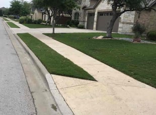 Trish S.'s turf care service result