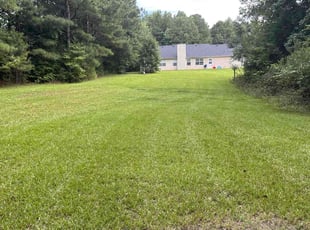 Lisa D.'s lawn care service result