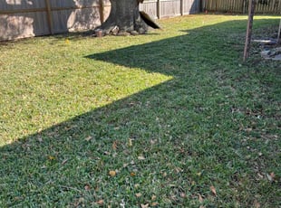 Tim A.'s lawn service service result