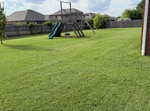Kari C.'s lawn service service result