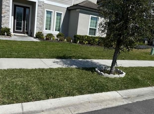 Linda D.'s lawn care service result