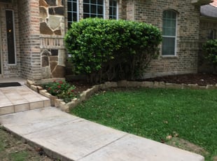Catherine K.'s Bush Trimming service result