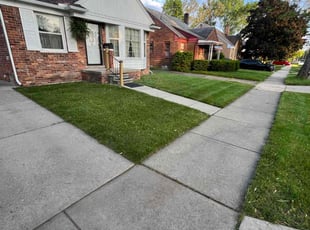 Dennis B.'s grass cutting service result