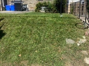 Janella R.'s lawn care services service result