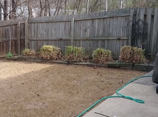 Linda M.'s Bush Trimming service result