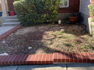 Rhonda S.'s Bush Trimming service result
