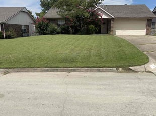 Michael M.'s grass cutting service result