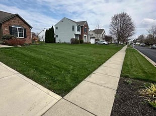 Jay E.'s turf care service result