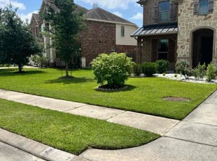 Diana M.'s turf care service result