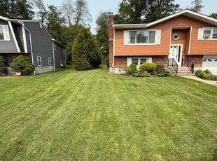 Lisa C.'s lawn maintenance service result