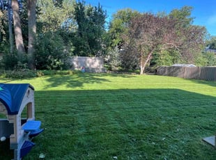Rachel H.'s lawn care service result