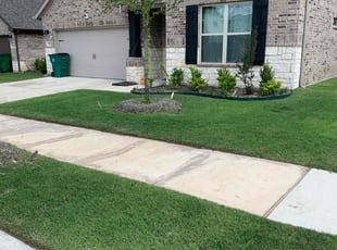Rosa T.'s landscaping services service result