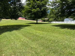 Dina M.'s turf care service result
