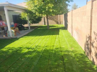 Brandon C.'s grass cutting service result
