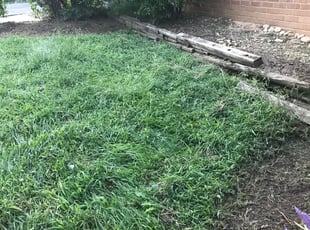 Ernestina G.'s Flower Bed Weeding service result