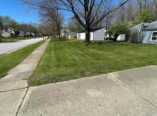 Matt B.'s grass cutting service result