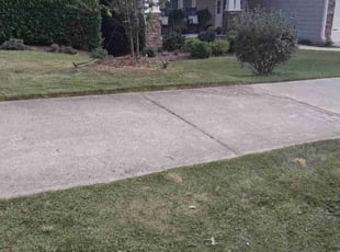 Samantha W.'s turf maintenance service result