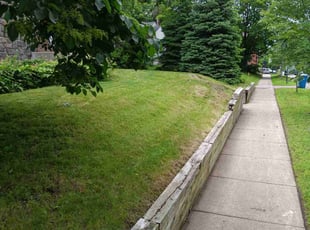 Paul W.'s lawn care services service result