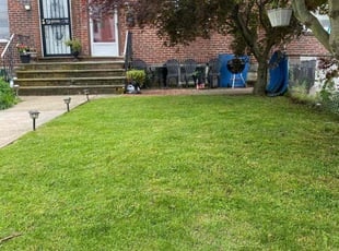 Mikea W.'s yard work service result