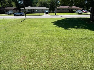 Deborah M.'s turf maintenance service result