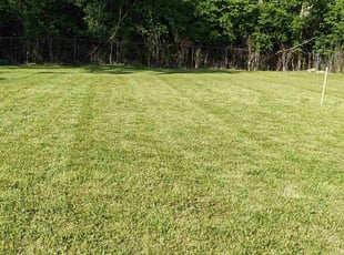 Janet S.'s lawn care service result