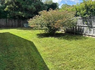 Robert P.'s turf care service result