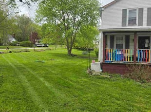 Avani A.'s turf maintenance service result