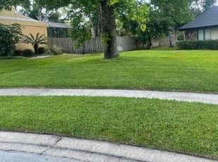 Sara P.'s lawn maintenance service result