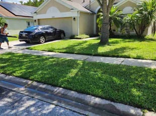 Johnny L.'s grass maintenance service result