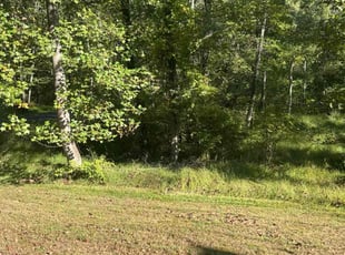 Kenya H.'s lawn service service result