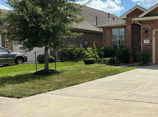Johnna D.'s lawn care service result
