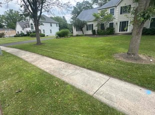 Michael O.'s grass cutting service result