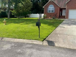 Mike R.'s lawn care service result