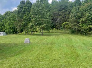 Gail J.'s grass cutting service result