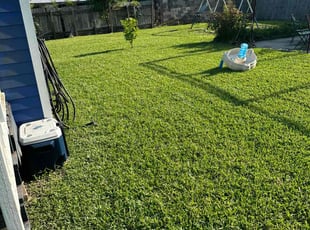 Steven R.'s turf care service result