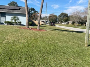 Chris M.'s lawn maintenance service result