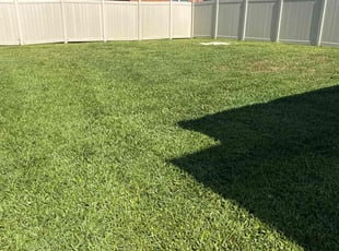 Sara S.'s grass cutting service result