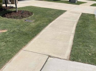 Amanda F.'s grass maintenance service result
