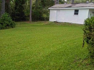 Phyllis L.'s lawn care service result