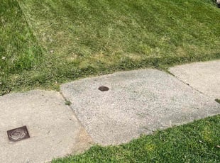 Beth H.'s turf care service result