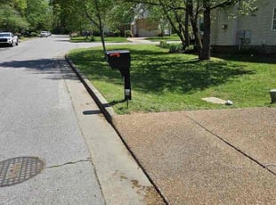 Lori H.'s turf care service result