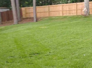 Charles B.'s lawn care services service result