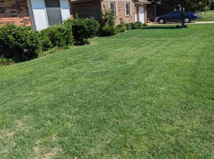 Sandy R.'s lawn maintenance service result